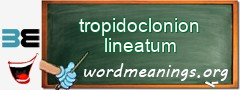 WordMeaning blackboard for tropidoclonion lineatum